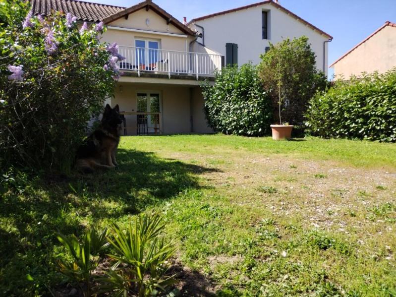 Le Pigeonnier Apartment Millau Exterior foto